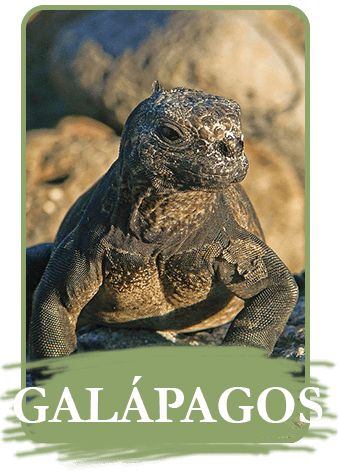 galapagos center expeditions-tours